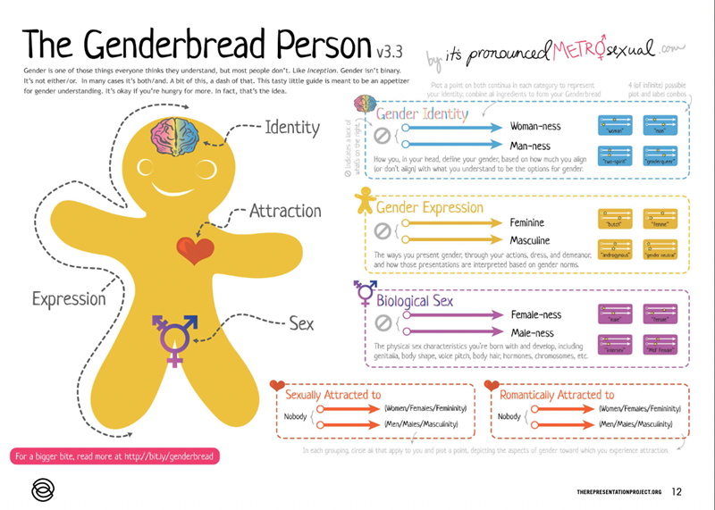 GenderbreadPerson